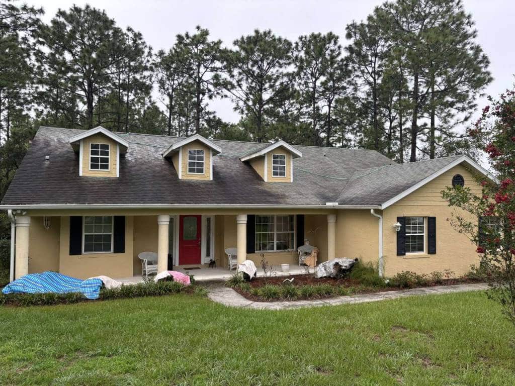 Citrus Roof Cleaning and Property Maintenance